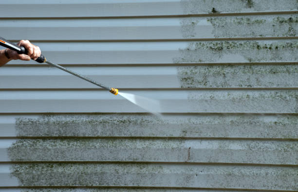 Best Building Exterior Washing  in Wadesboro, NC